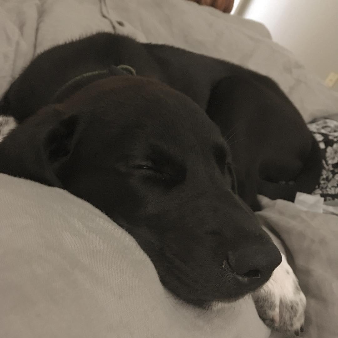 Our Tucker Boy