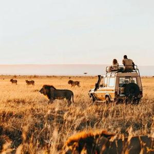 The Honeymoon: South Africa & Mozambique