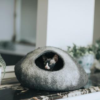 Skyline Cat Cave