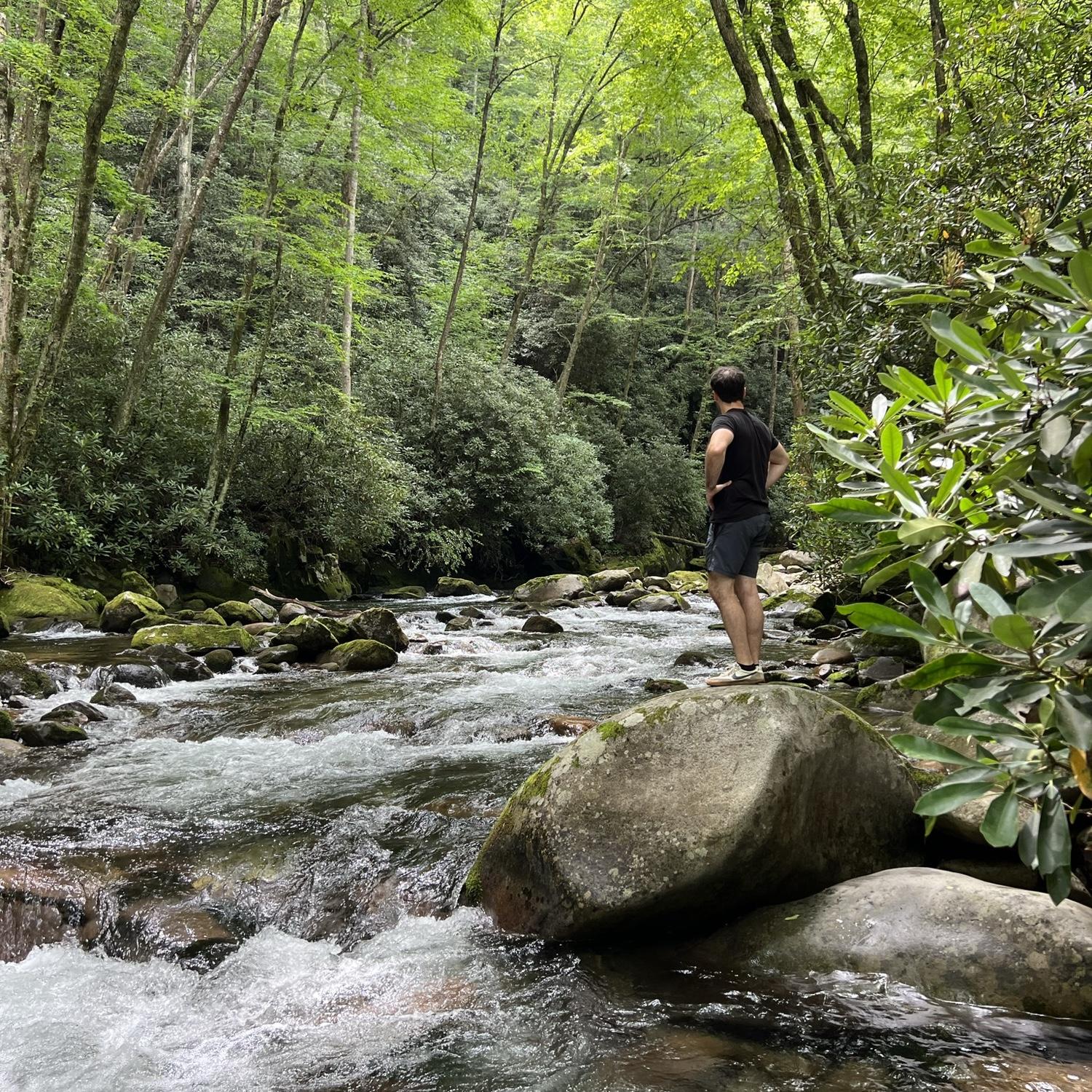 The beautiful spot Michael proposed at the Smoky Mountains