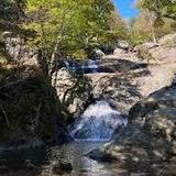 Cunningham Falls