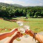 Roo Mountain Vineyards