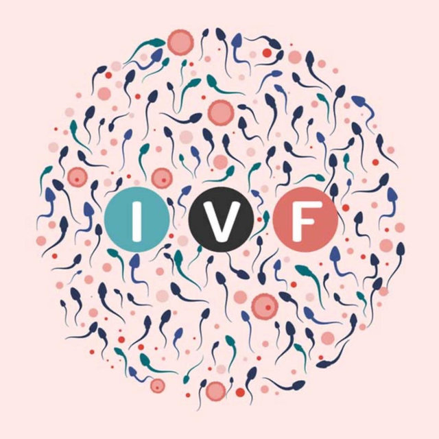 IVF Fund