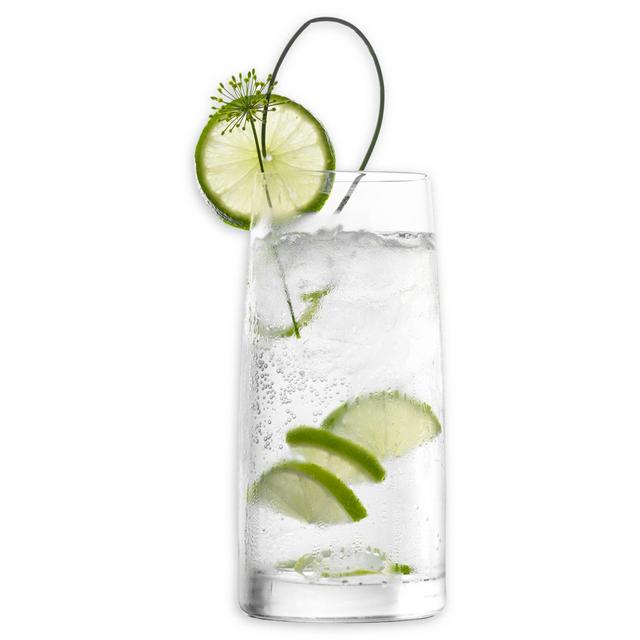 Stölzle Lausitz Experience Highball Glasses (Set of 4)