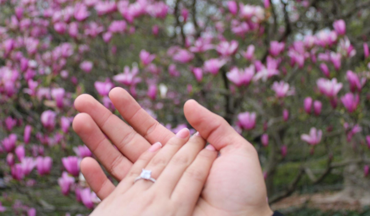 The Wedding Website of Jeffrey Zavala and Genesis Roca