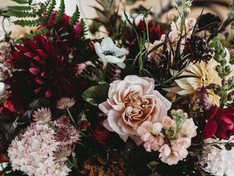 The Wedding Website of Roxanna Naranjo and Jacob Bryant