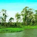 Walawe River Safari