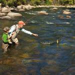Gore Creek Fly Fisherman