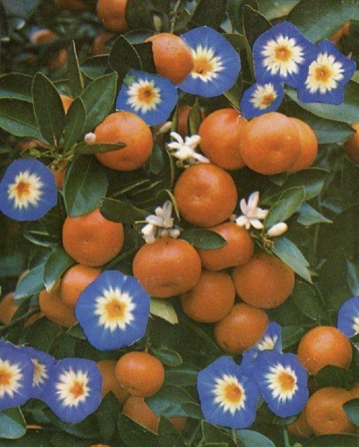 The Wedding Website of Haley Fuller and Pete Freeman