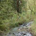 Lower Macleay Trail