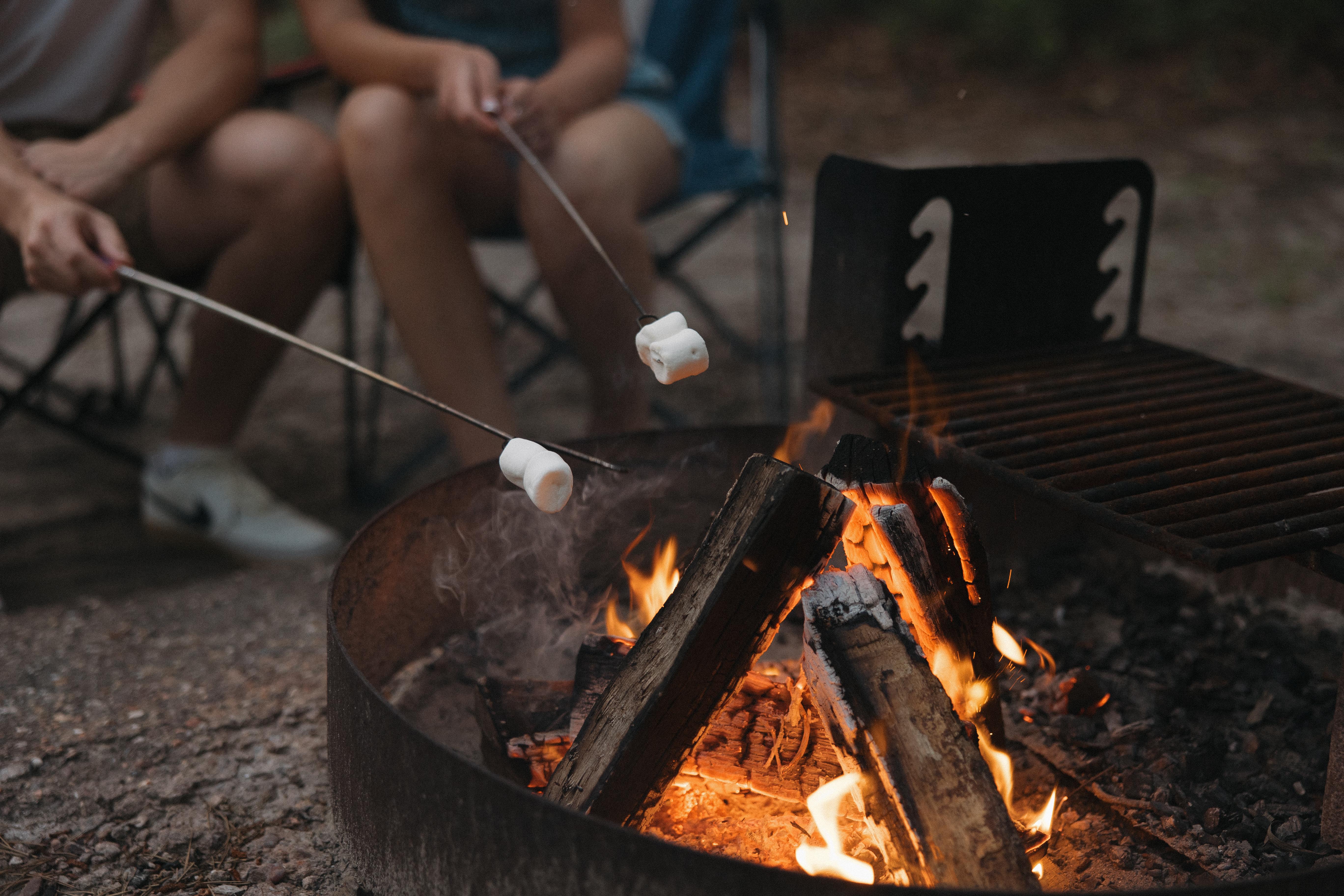 The Wedding Website of Alexis Green and David Hayes