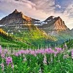 Hiking