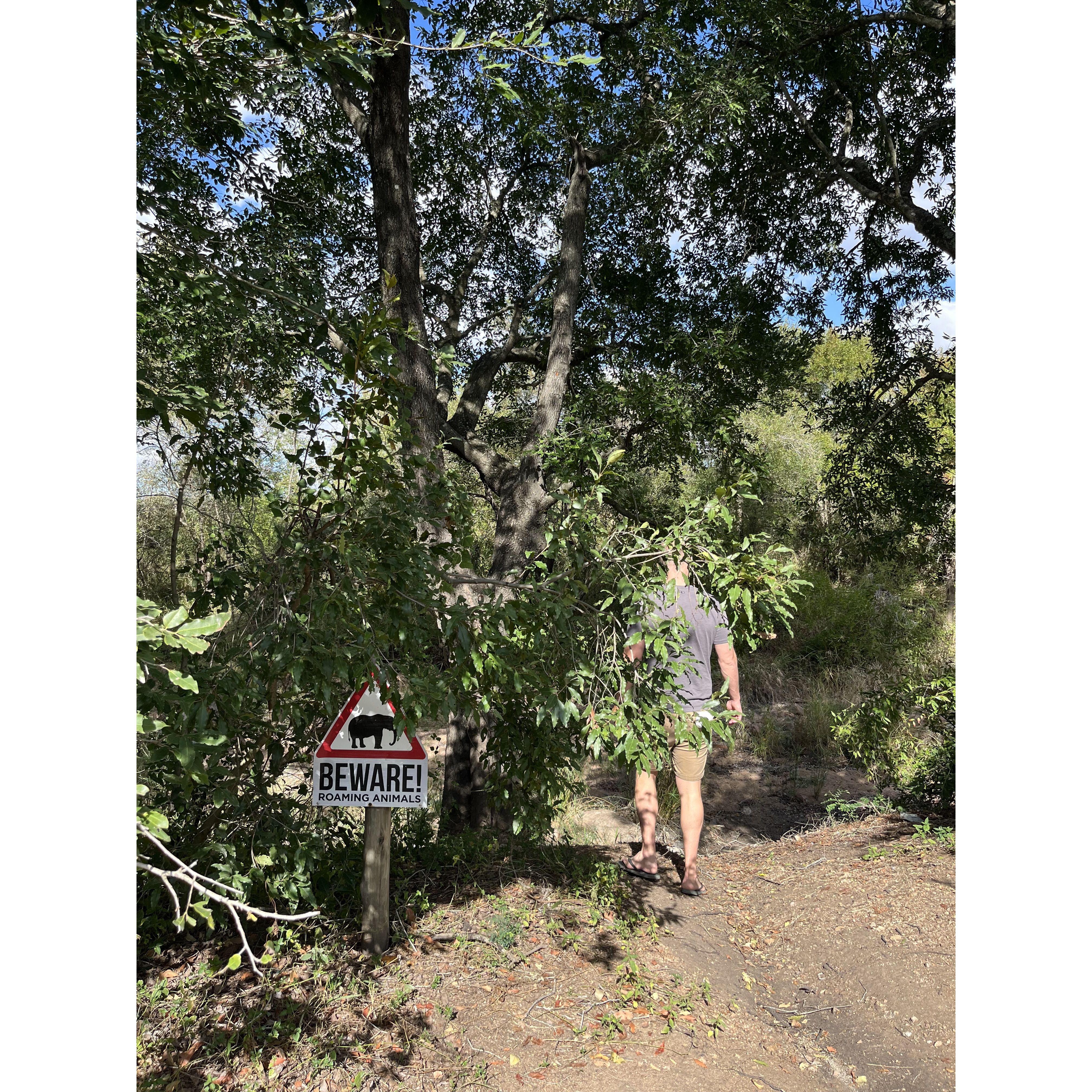 Stretching our legs at one of the many rest stops (with coffee and food) throughout the park - Kruger National Park, May 2024