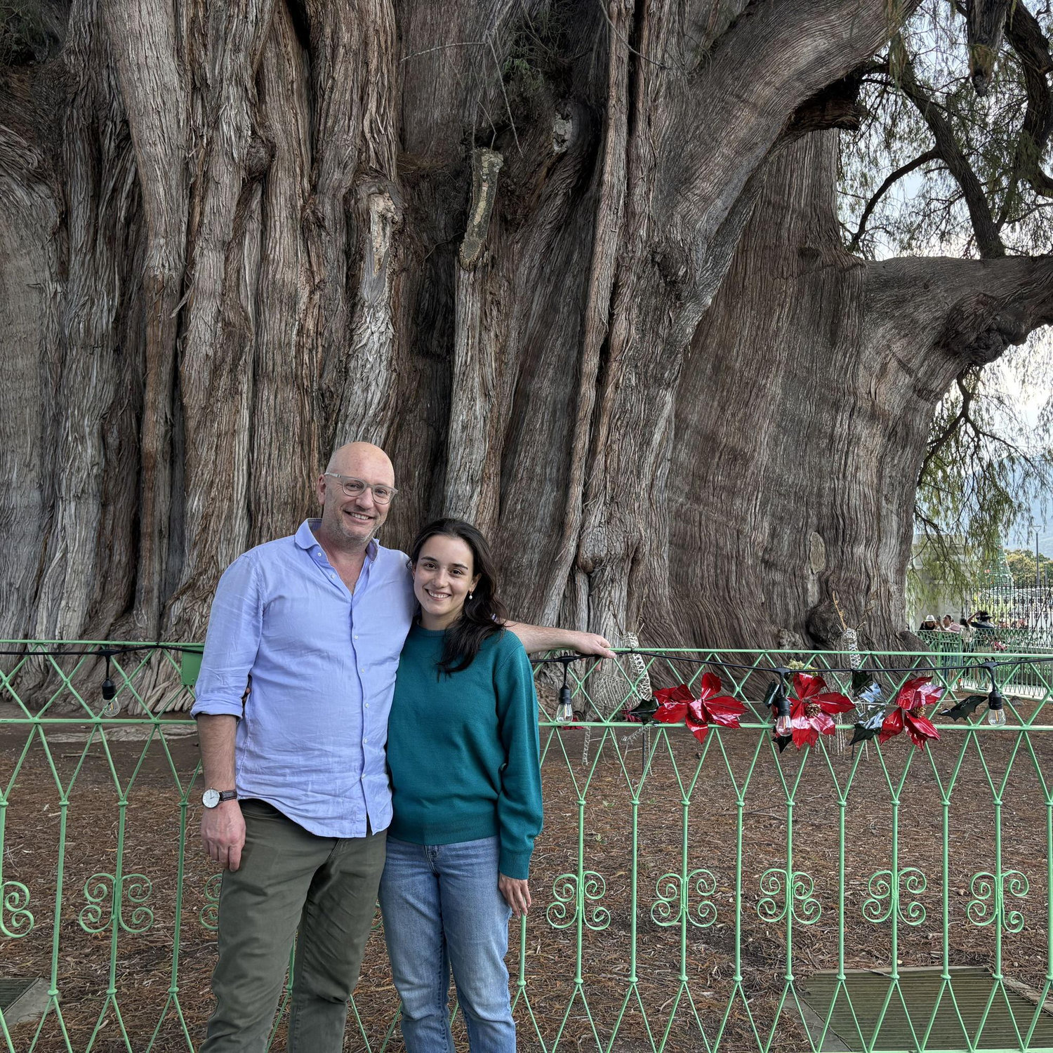 Árbol del Tule, Oaxaca 2025