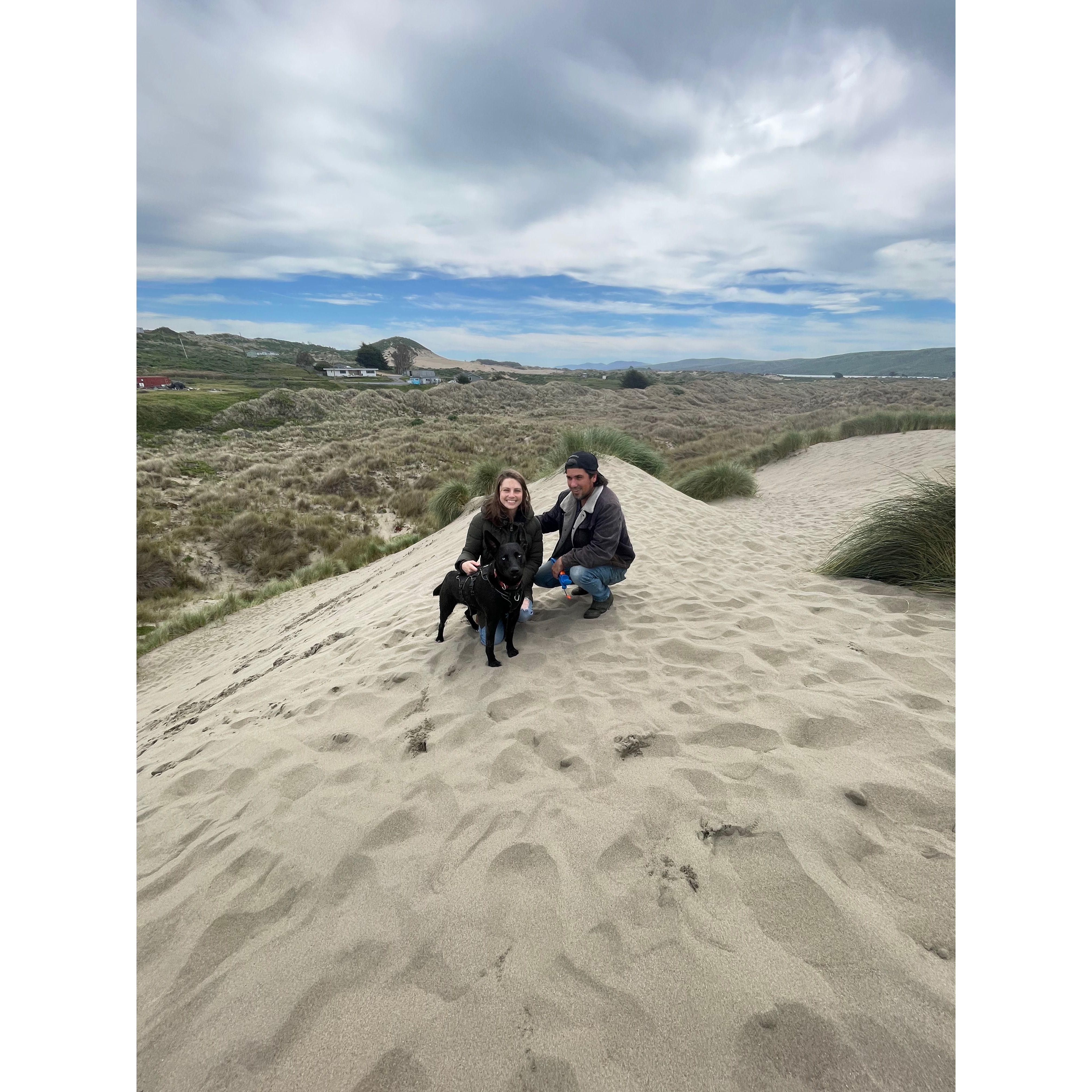 Blue's Favorite Beach