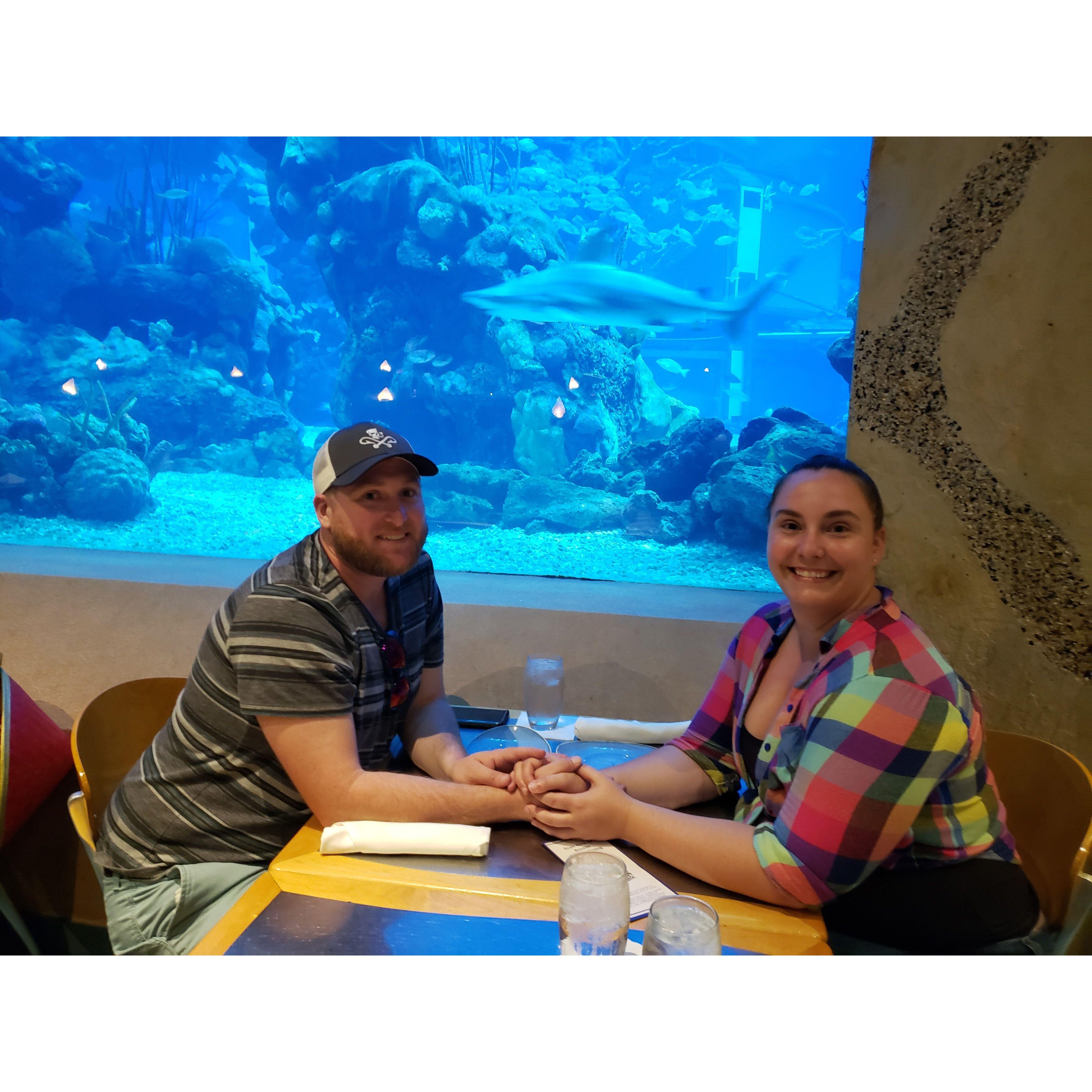 Epcot Anniversary Dinner! We had a shark visitor!