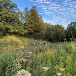 Theodore Wirth Regional Park