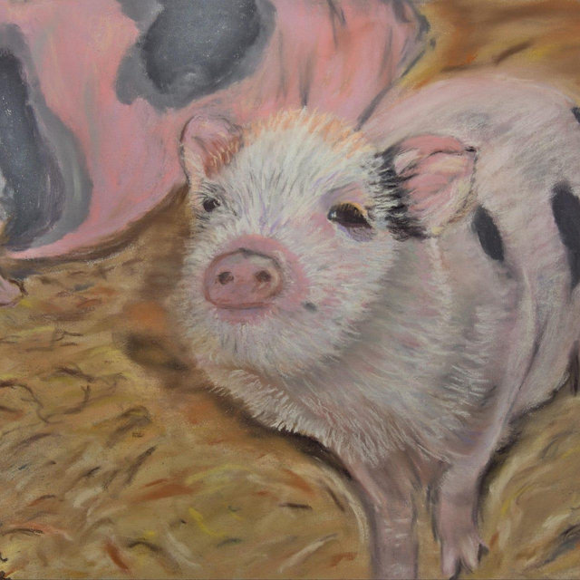 Shirley, Piglet Pastel Painting, Animal Portrait Giclée Print, Vegan