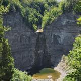 Cayuga Nation