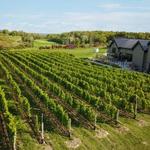 Adamo Estate Winery