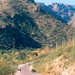 Sabino Canyon Recreation Area