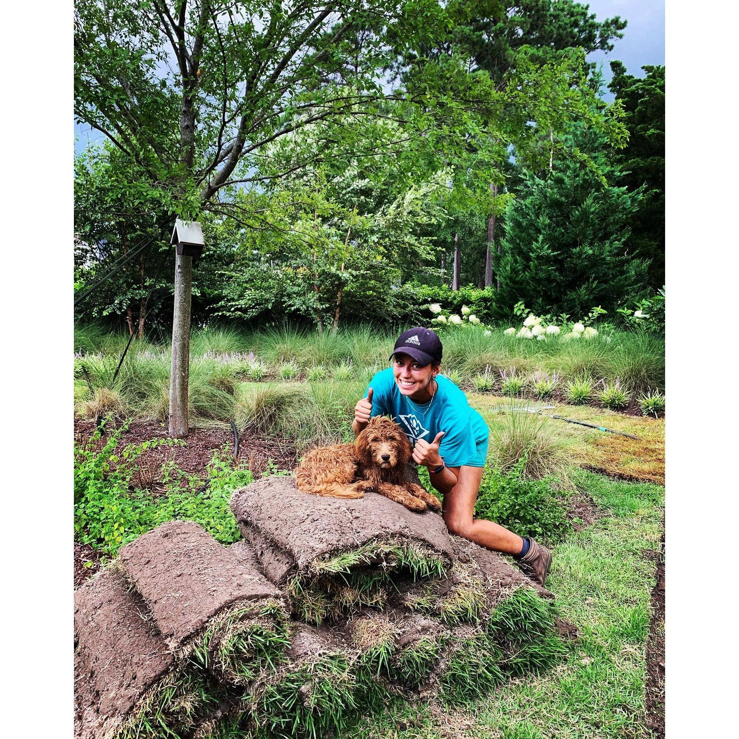 Landscaping
