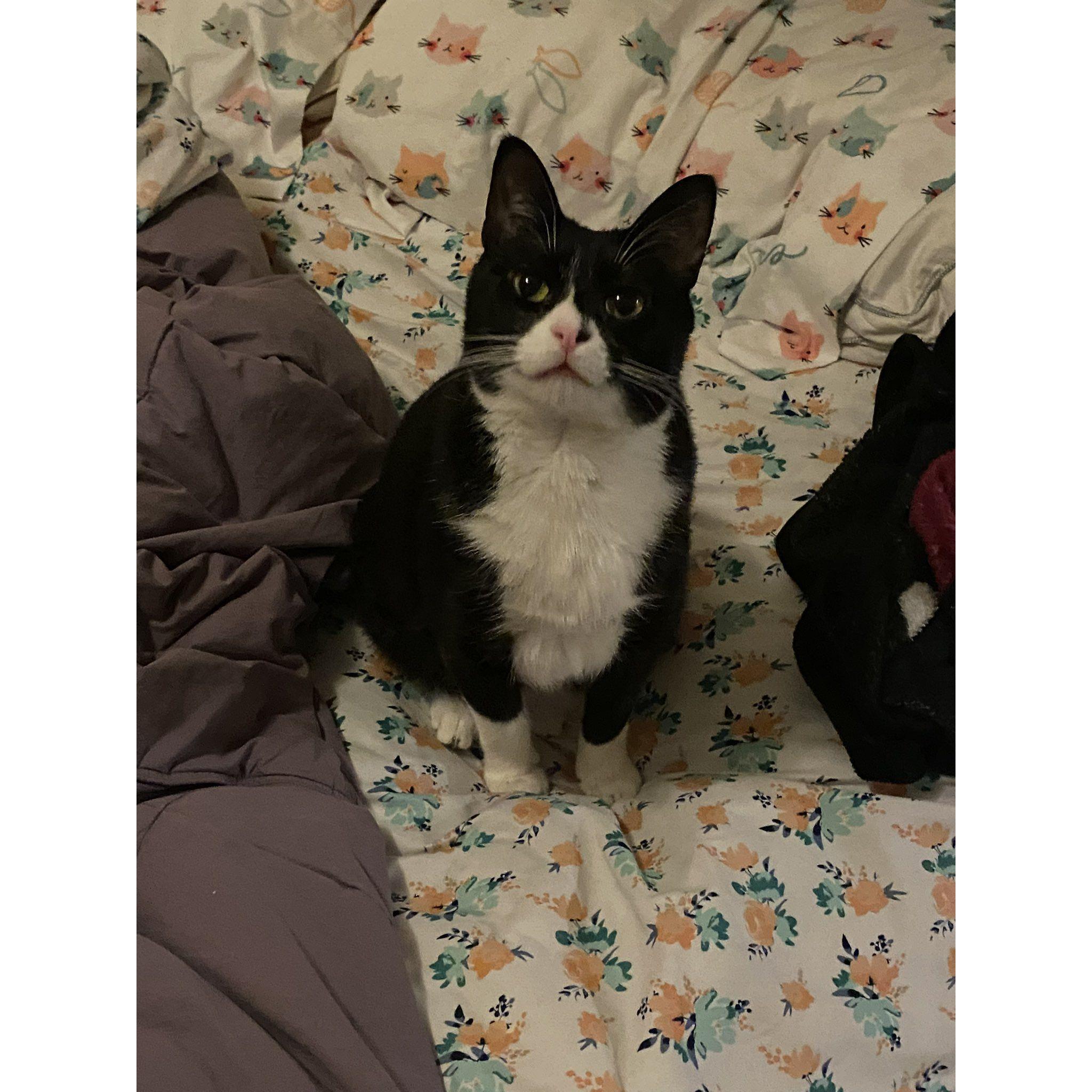 Our darling son.
