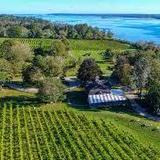 Sakonnet Vineyard