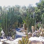 Lotusland