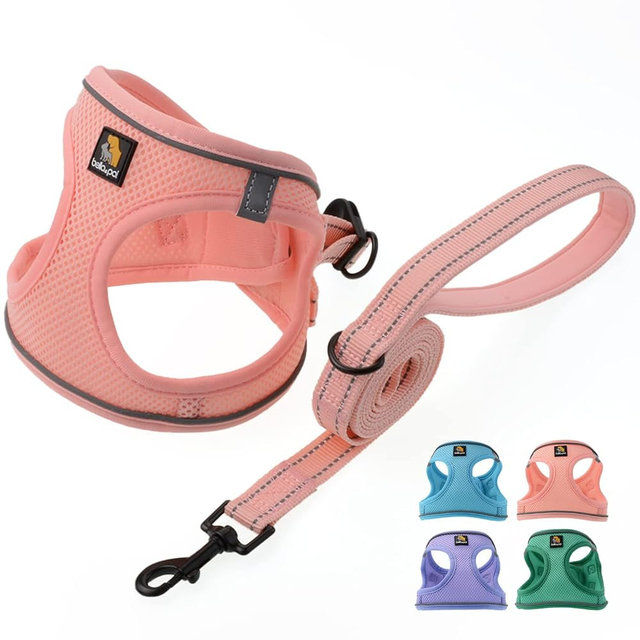 BELLA & PAL Dog Harness for Small Dogs, Medium, Coral Pink, Animal Harness with Leash Set, No Pull, Step in Design, Reflective Strip, Lightweight Mesh, Harness for Extra Small Dogs