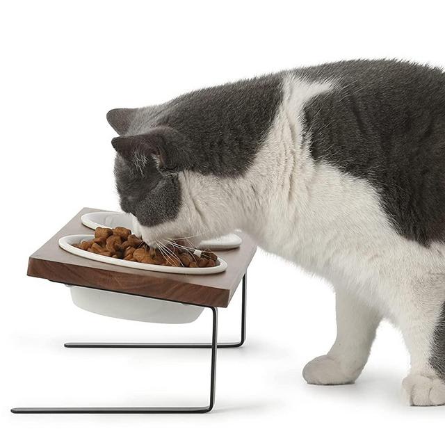 FUKUMARU Elevated Cat Ceramic Bowls, Small Dog 15°Tilted Raised Food Feeding Dishes, Solid Wood Water Stand Feeder Set for Cats and Puppy