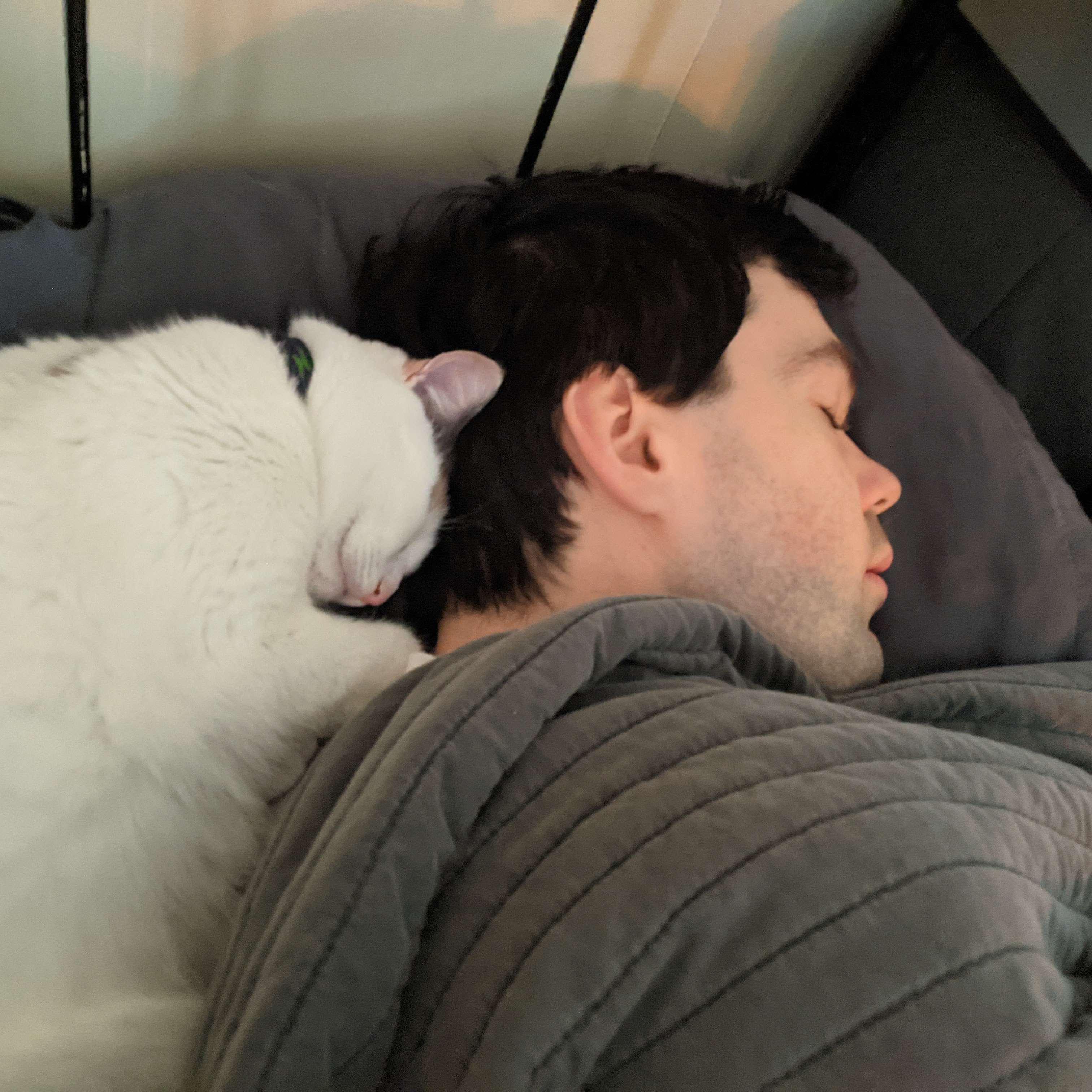 William and Dr. Bells taking a nap. So cute. 