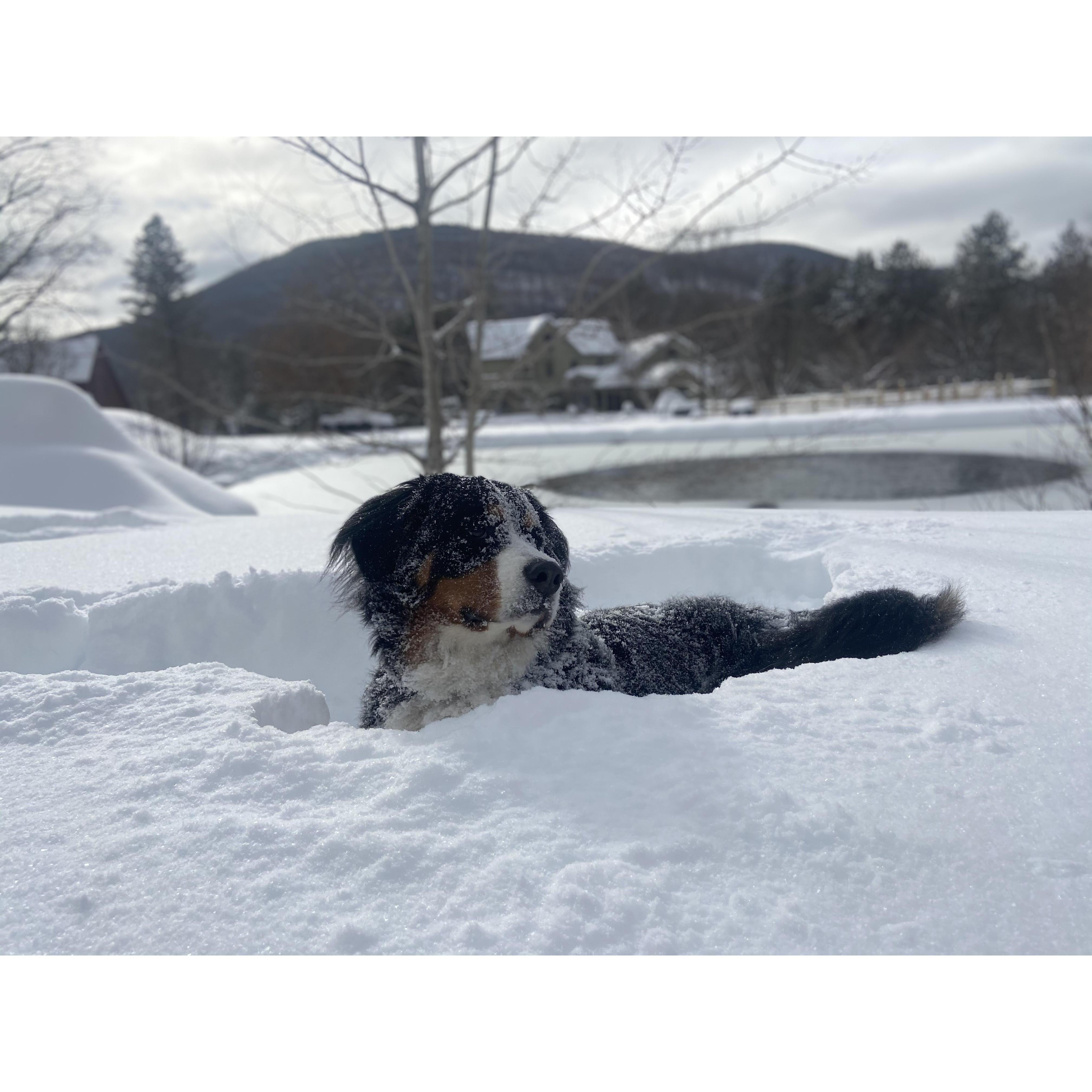 Best girl living her best life.