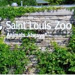 Saint Louis Zoo