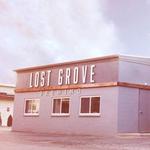 Lost Grove Brewing