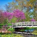 Olbrich Botanical Gardens