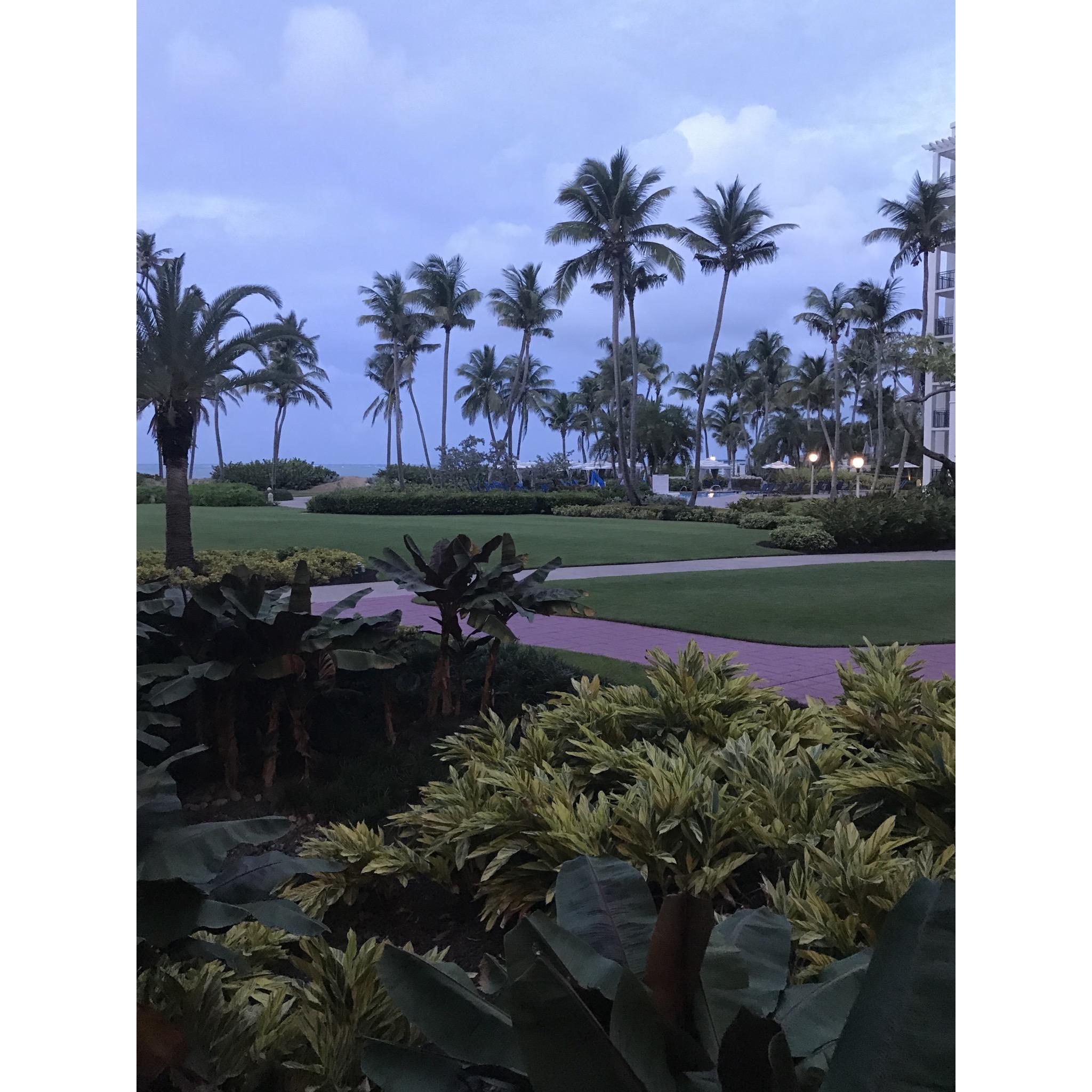 This gorgeous resort!