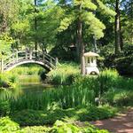 Fabyan Forest Preserve Walk