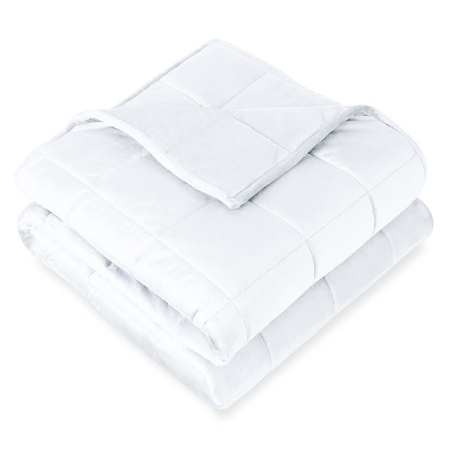 Minky Fleece Weighted Blanket by Bare Home - 10 lb 40" x 60", White
