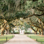 Historic Plantations