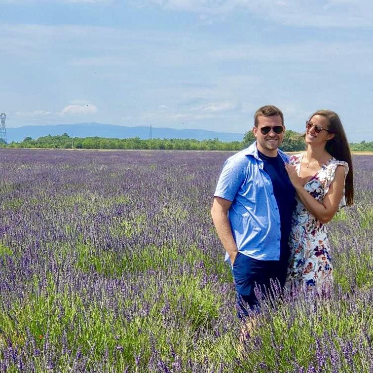 Lavender Fields in southern France