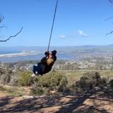 Los Osos Hike to Morro Rock Overlook