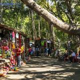 Isla Cuale