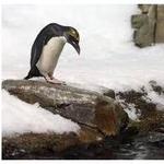 Biodome