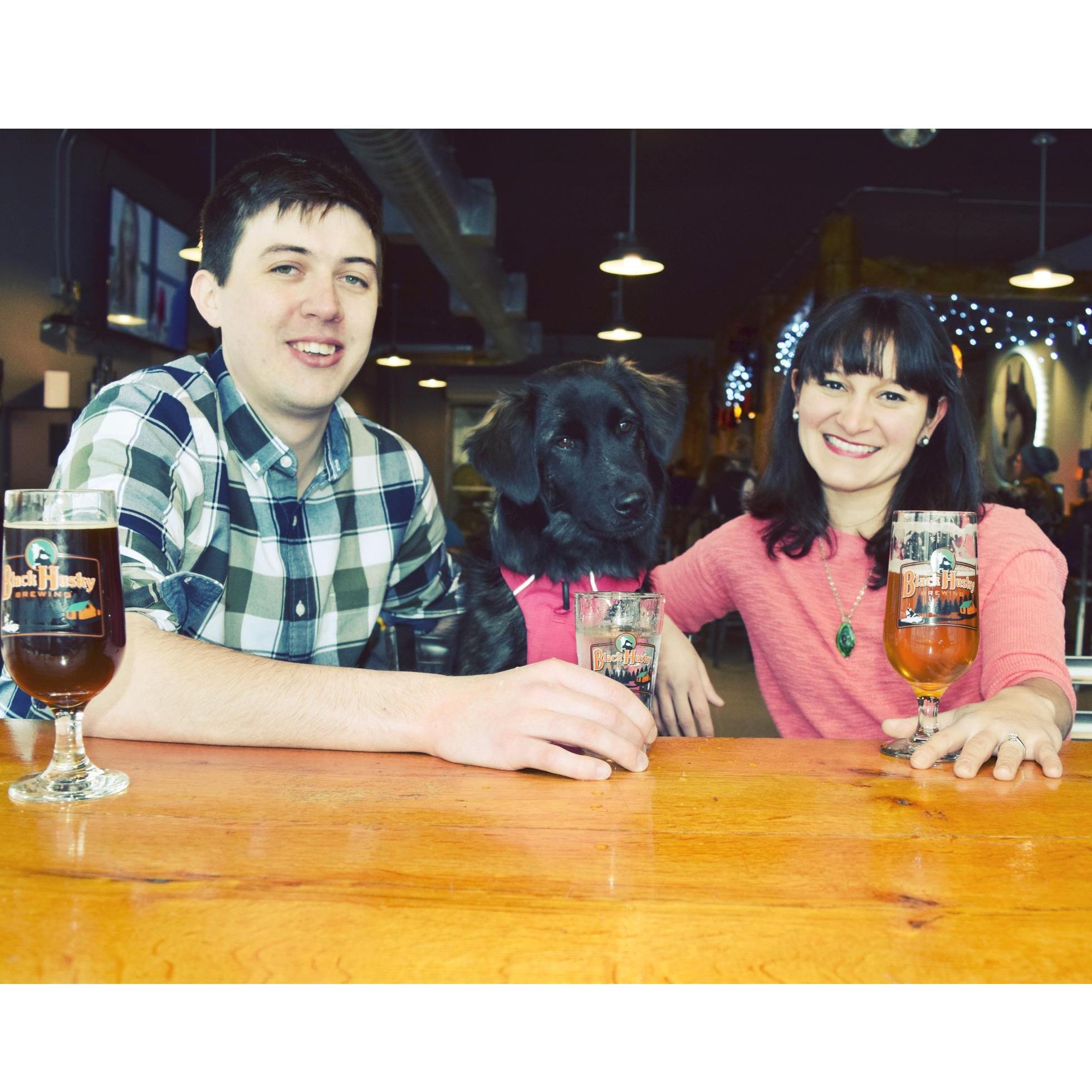 We're regulars at Black Husky because they allow dogs and have tasty brews!