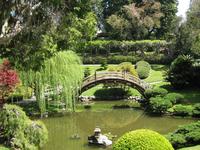 The Huntington Library, Art Collections, and Botanical Gardens