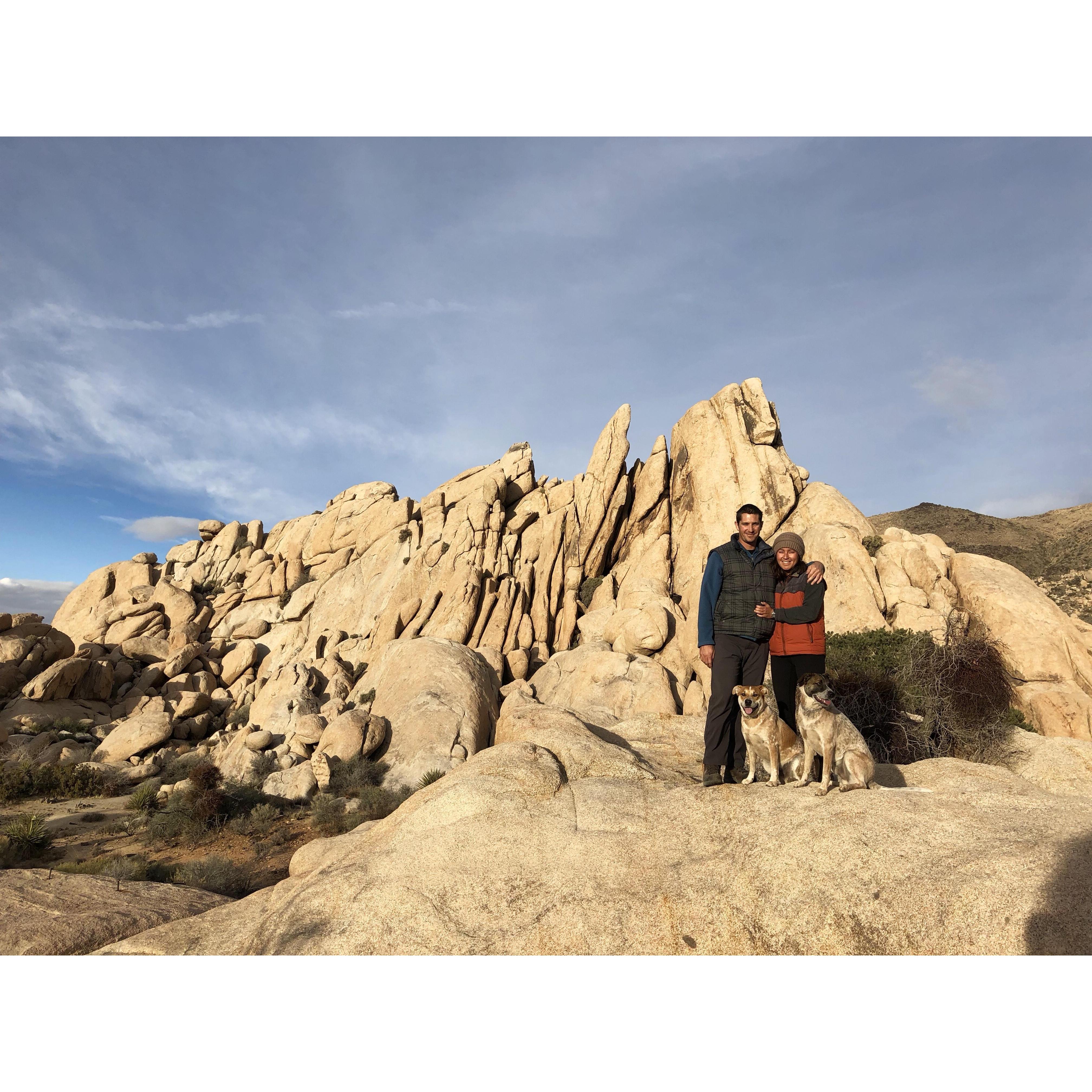 Joshua Tree National Park