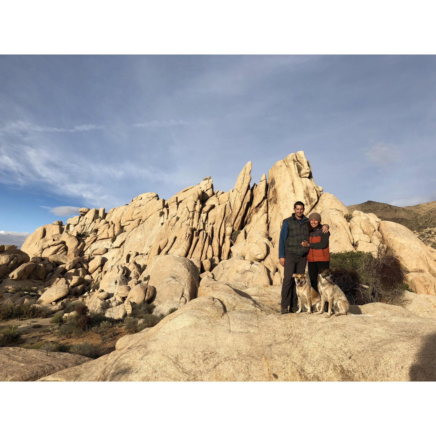 Joshua Tree National Park