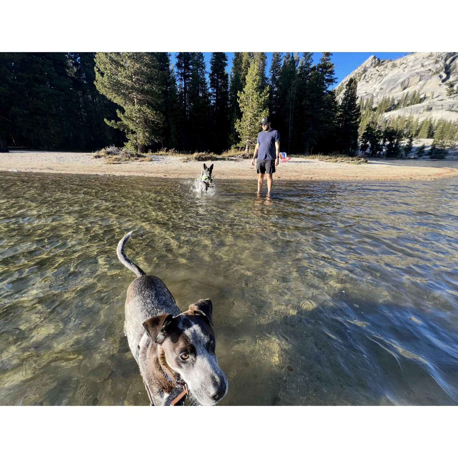 Tenaya Lake