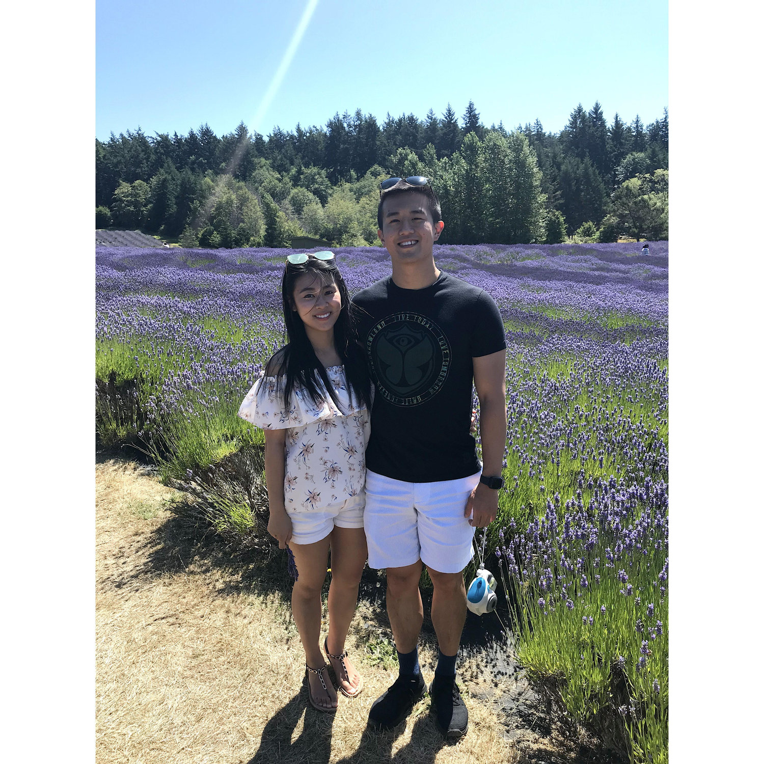 Lavender Farm 薰衣草農場 07/2019